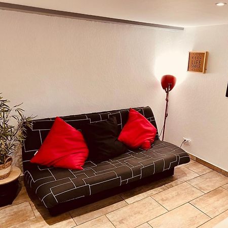 Appartamento Le Camille Charming With Garden 5 Min Chu Poitiers Esterno foto